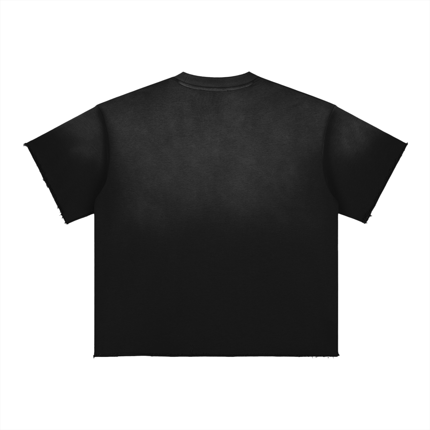 Simple Co "College" 10 Year Anniversary T Shirt Sun Fade Raw Edge T-Shirt