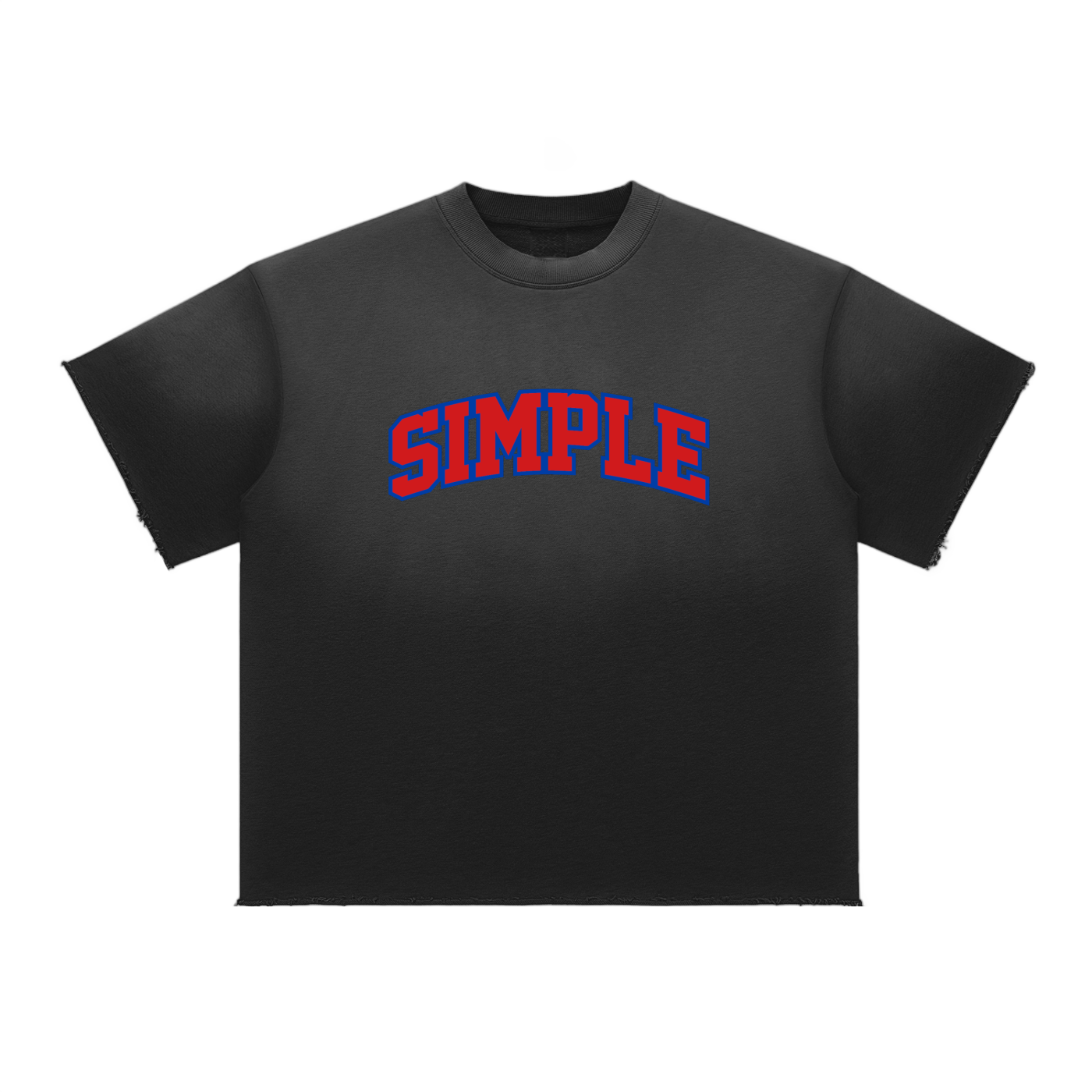 Simple Co "College" 10 Year Anniversary T Shirt Sun Fade Raw Edge T-Shirt